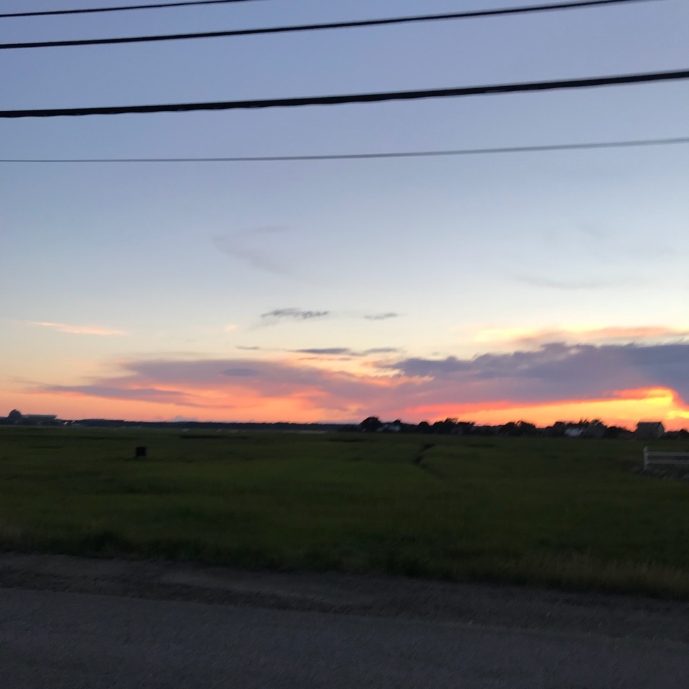 Meet your Posher, Caroline